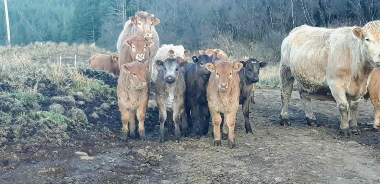 Apartmán An Cois Na H-Aibhne Skeabost Exteriér fotografie